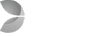 Evolution